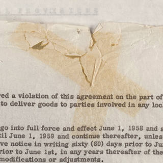 adhesive damage to onionskin