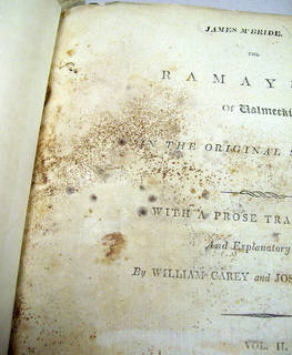 mold and insect damage