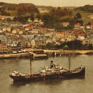 Color collotype detail