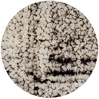 Typical collotype reticulation pattern