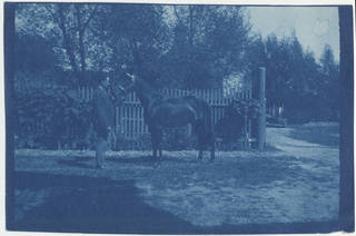 Unfaded cyanotype photograph of a horse and man