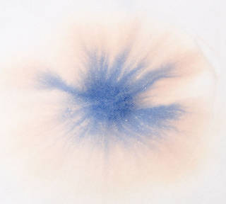 Dye based fountain pen ink blot