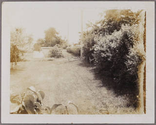 instant black and white photo streaking discoloration