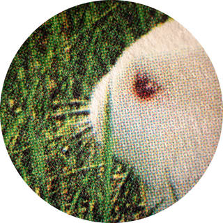 Offset litho rosette ink dot pattern