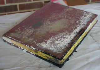superbly moldy book