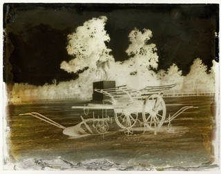 Albumen glass negative