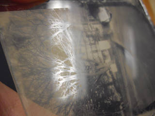 Fresh collodion negative without protective shellac
