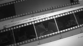 Silver gelatin negative strips