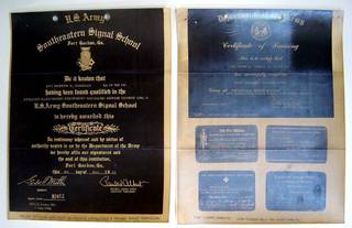 Diffusion transfers exhibiting silvering effect