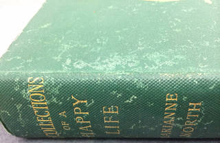 silverfish damaged cover