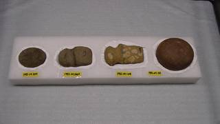 Stone artifacts in a custom enclosure